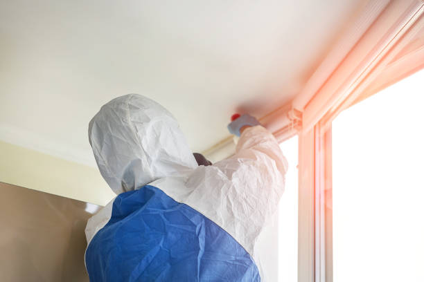 Best Commercial Mold Inspection  in Leonardo, NJ